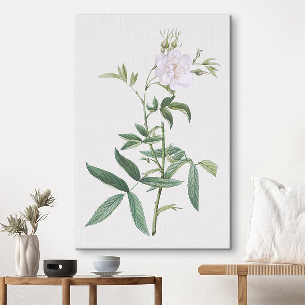 Quadri Un fiore bianco con foglie verdi (COD: s37645) Quadri Quadri Un fiore bianco con foglie verdi (COD: s37645)