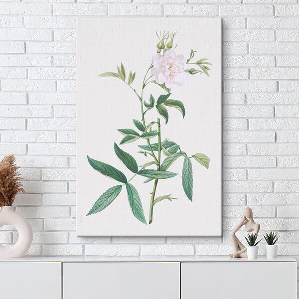 A white flower with green leaves