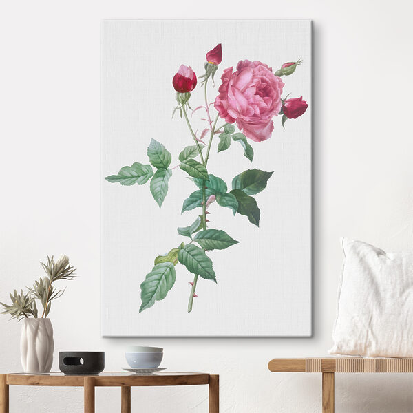 Quadri Quadri Una rosa rosa con foglie verdi (COD: s37652)