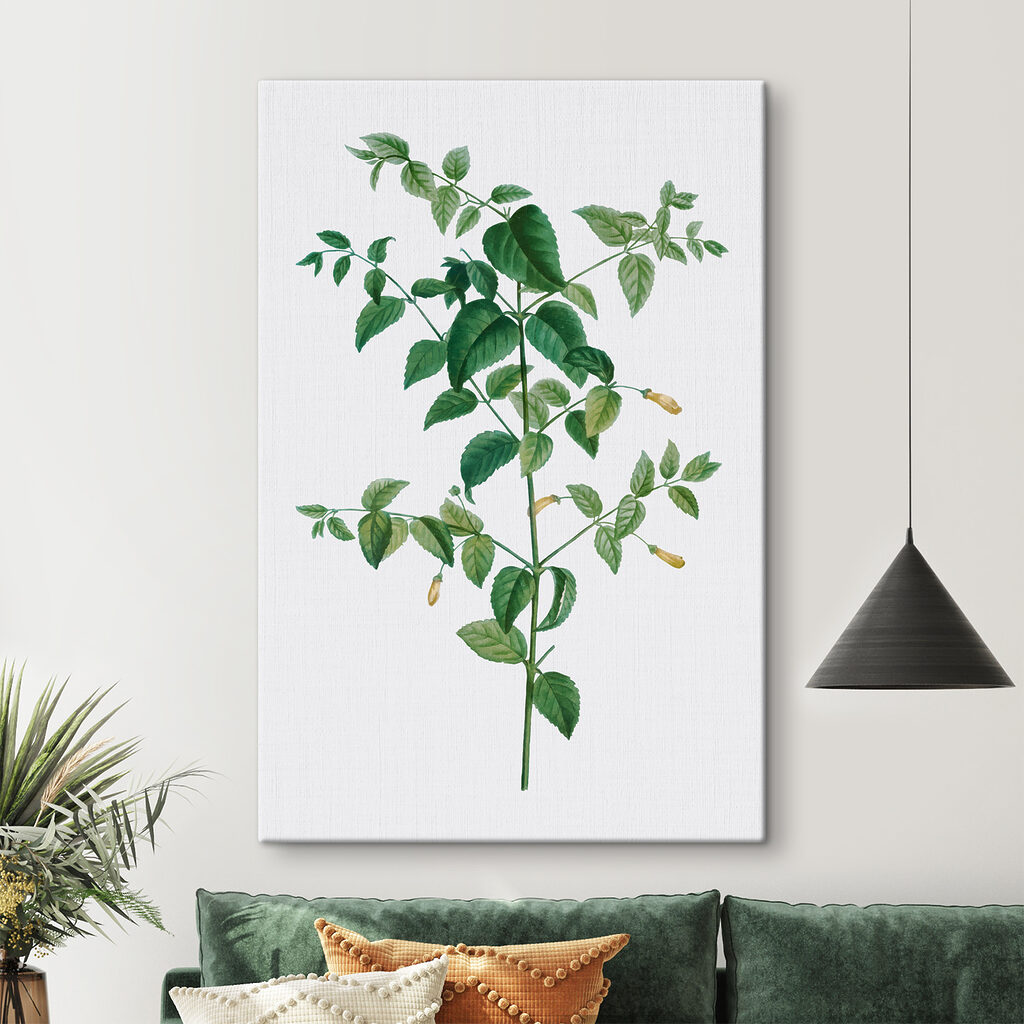 A plant with leaves and flowers