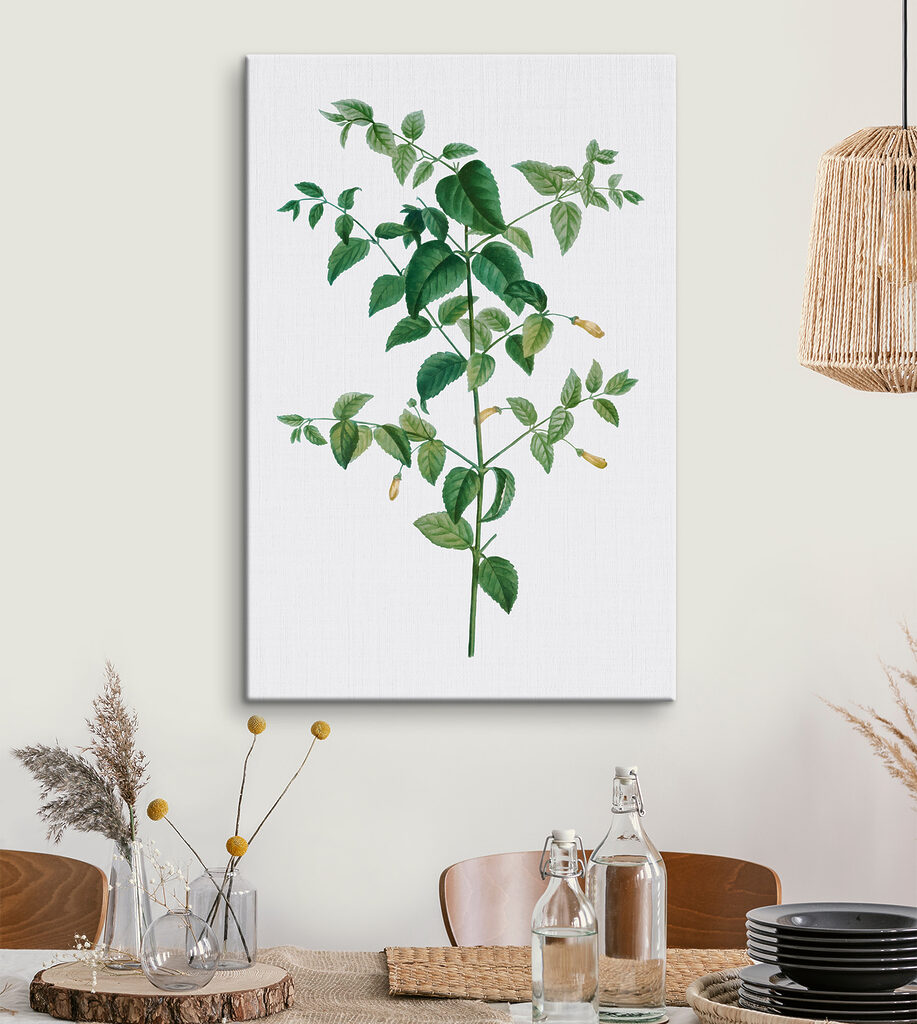A plant with leaves and flowers