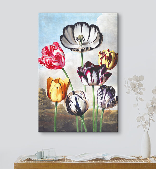 Quadri Un mazzo di fiori colorati (COD: s37623) Quadri Quadri Un mazzo di fiori colorati (COD: s37623)