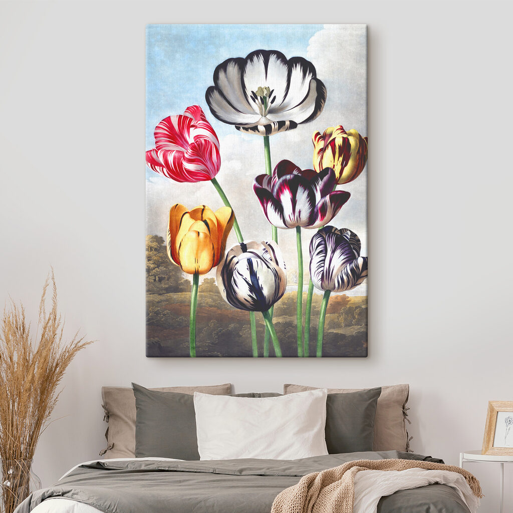 A group of colorful flowers