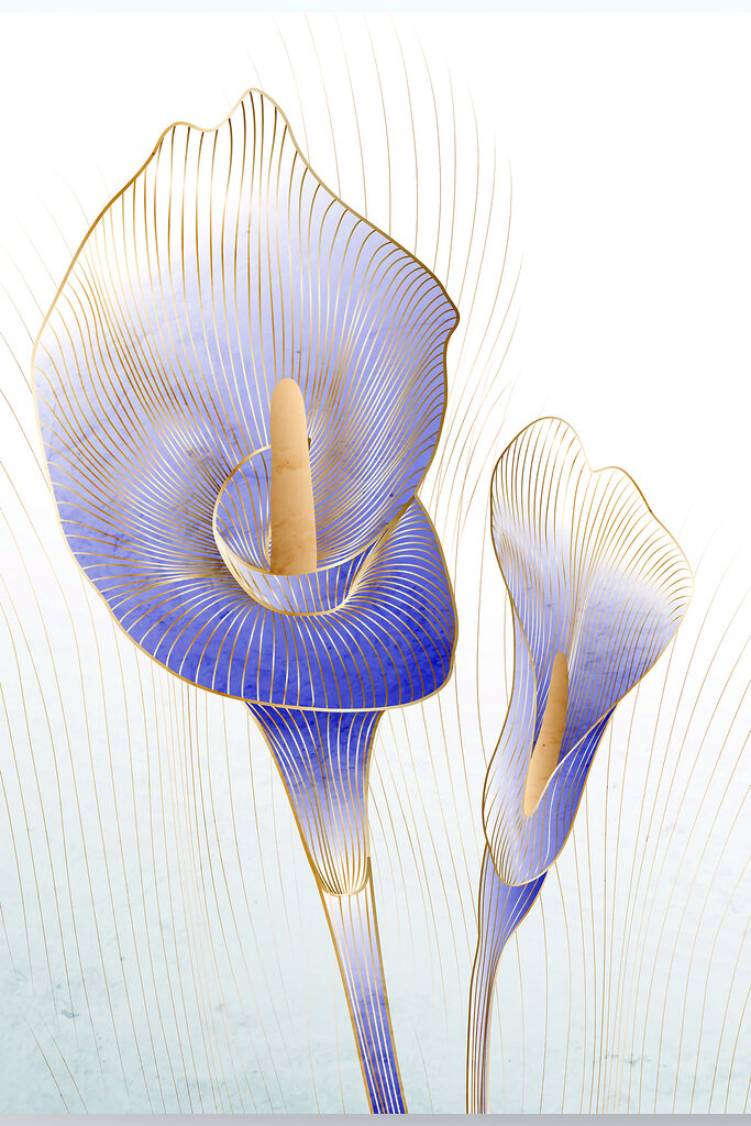 Elegant blue calla lilies in bloom