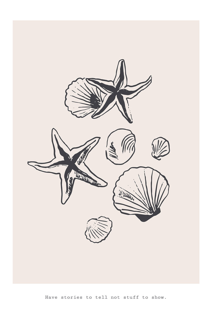 A group of seashells and starfish