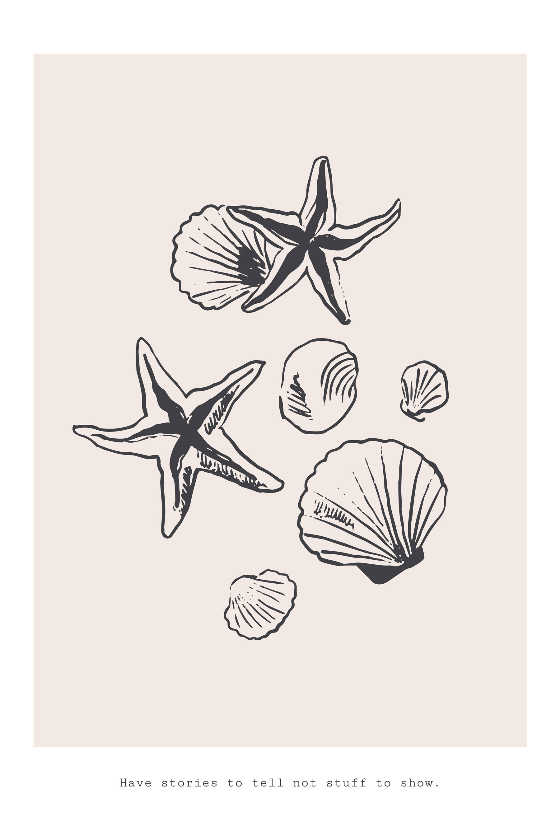 A group of seashells and starfish