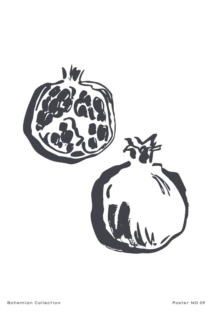 A drawing of a pomegranate A drawing of a pomegranate