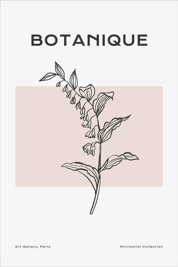 A drawing of a plant