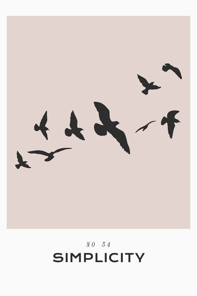 A flock of birds flying A flock of birds flying
