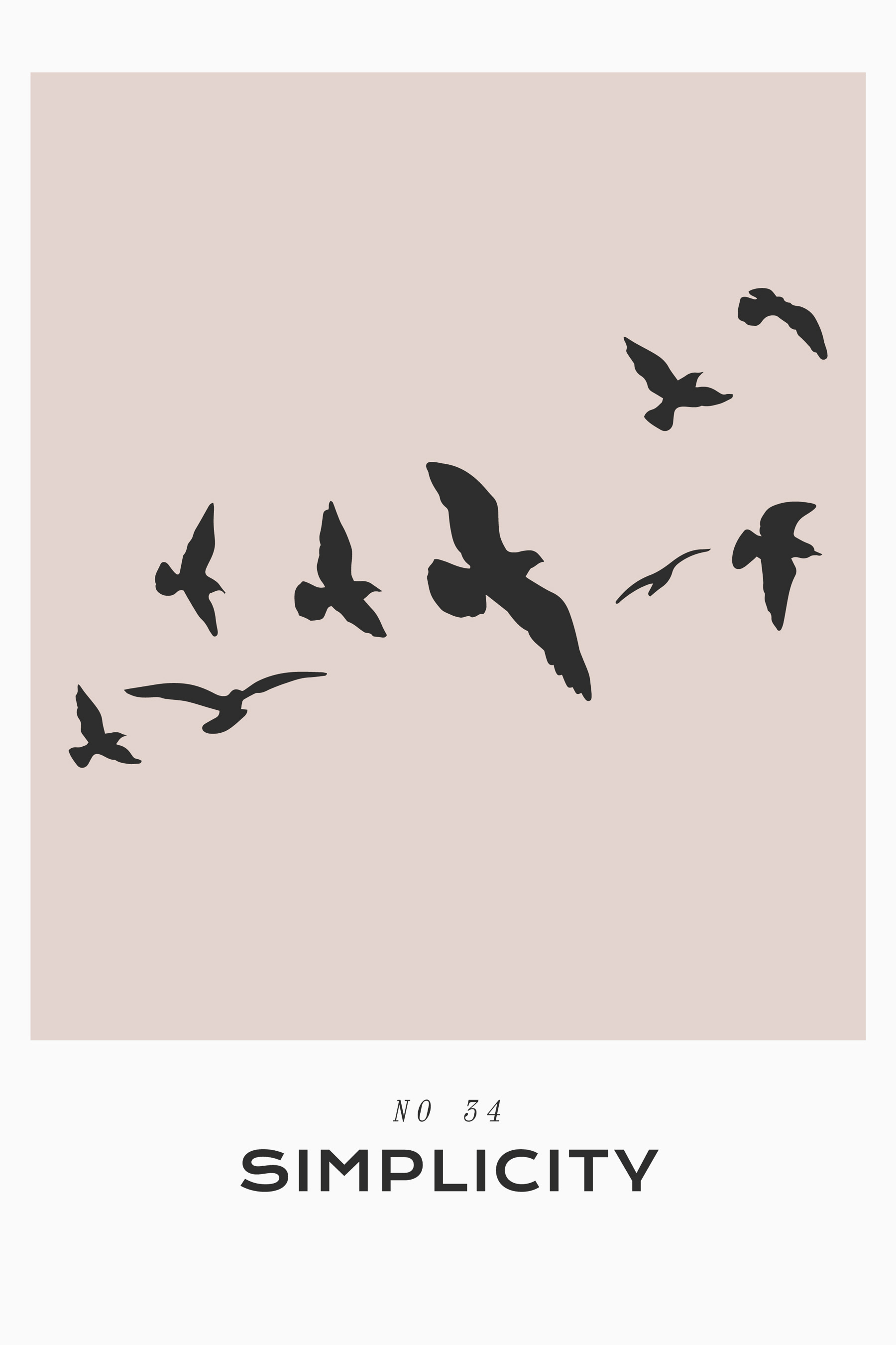 A flock of birds flying A flock of birds flying