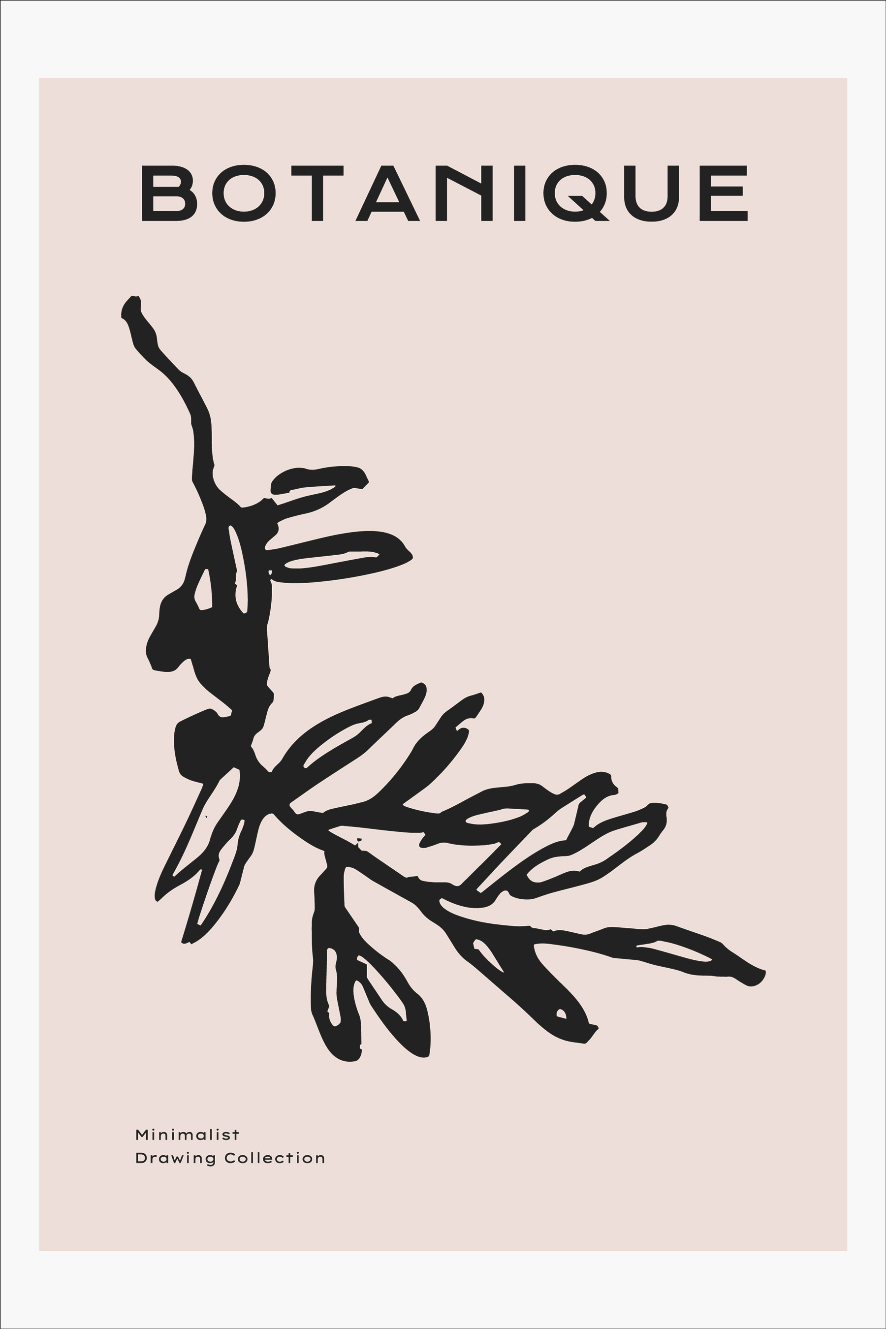 A black leaf on a pink background