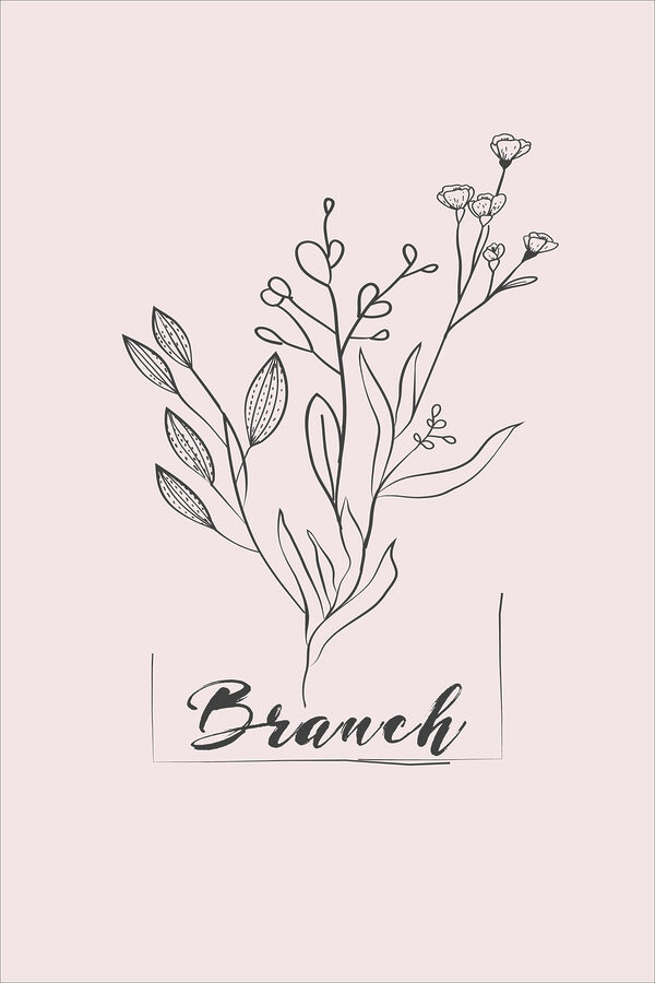 A drawing of a plant