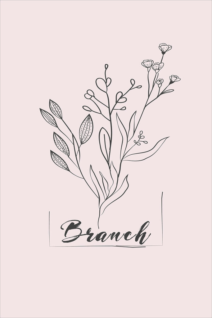 A drawing of a plant
