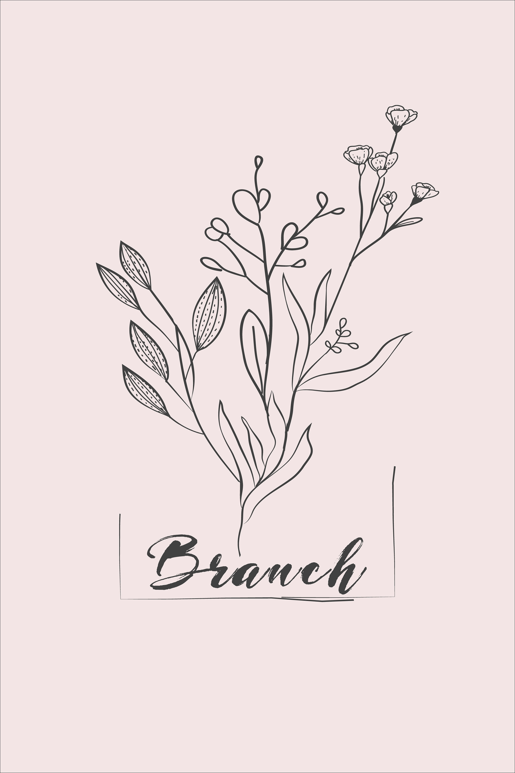 A drawing of a plant