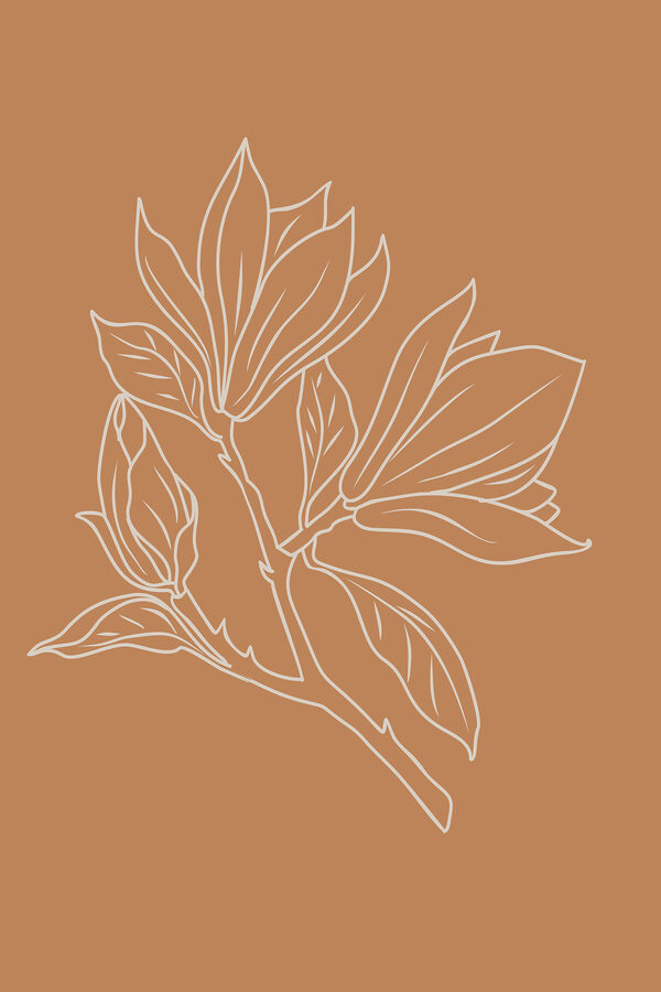 A drawing of a flower A drawing of a flower