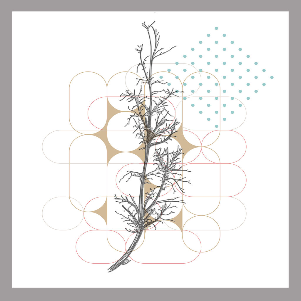 A drawing of a branch with leaves