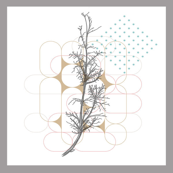 A drawing of a branch with leaves