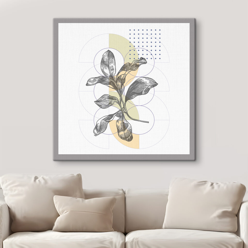 A plant with leaves on a white background