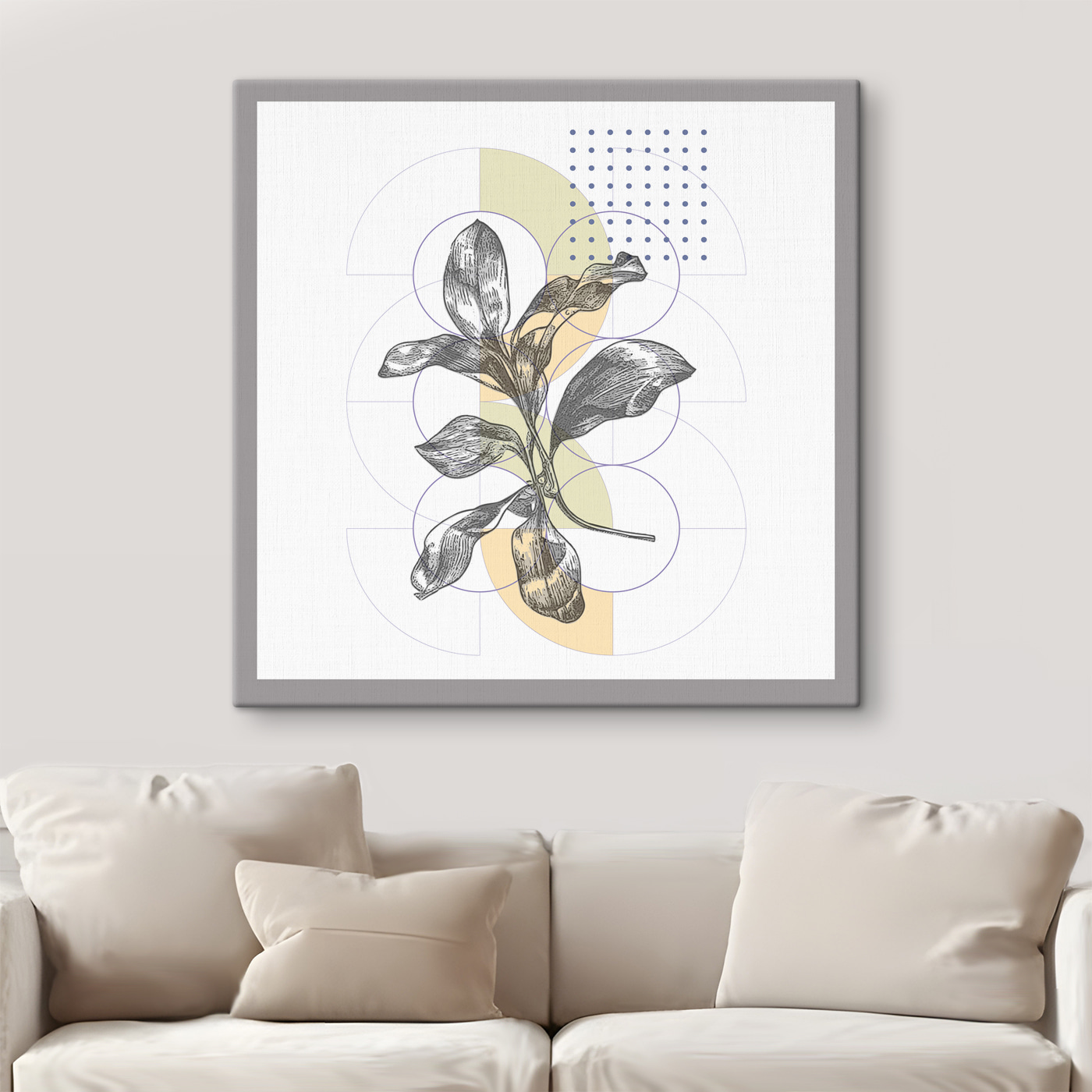 A plant with leaves on a white background