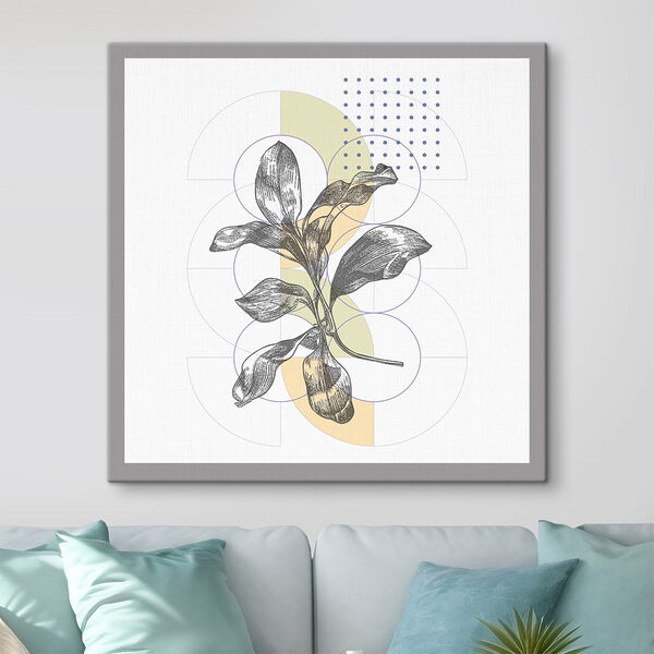 A plant with leaves on a white background