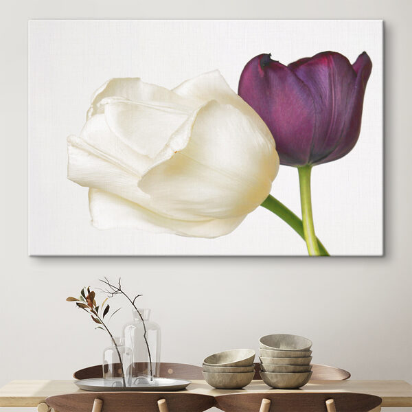 Quadri Un fiore bianco e viola (COD: s37841) Quadri Quadri Un fiore bianco e viola (COD: s37841)