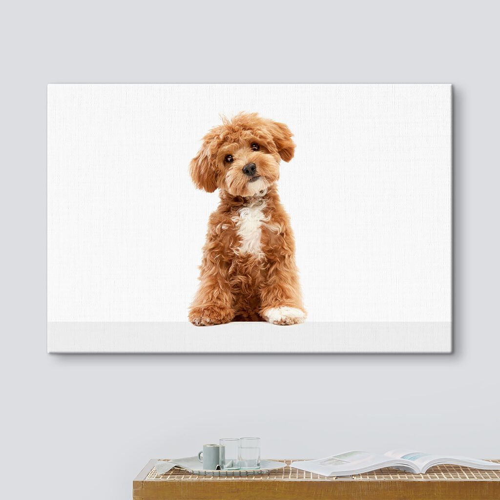 A dog sitting on a white surface A dog sitting on a white surface