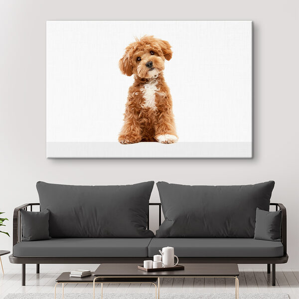 A dog sitting on a white surface A dog sitting on a white surface