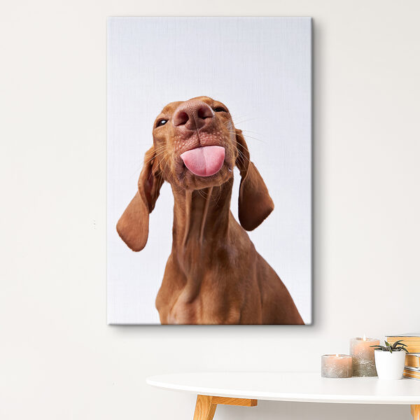 Quadri Un cane che tira fuori la lingua (COD: s37751) Quadri Quadri Un cane che tira fuori la lingua (COD: s37751)