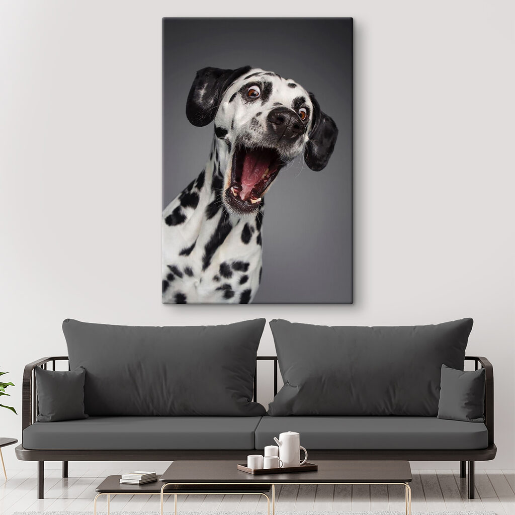 A dog with its mouth open A dog with its mouth open