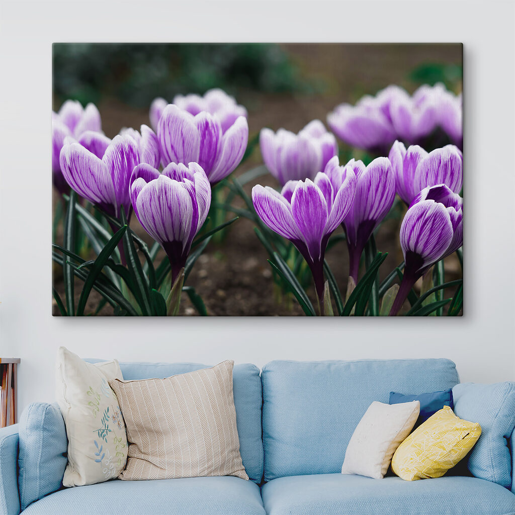 A group of purple flowers