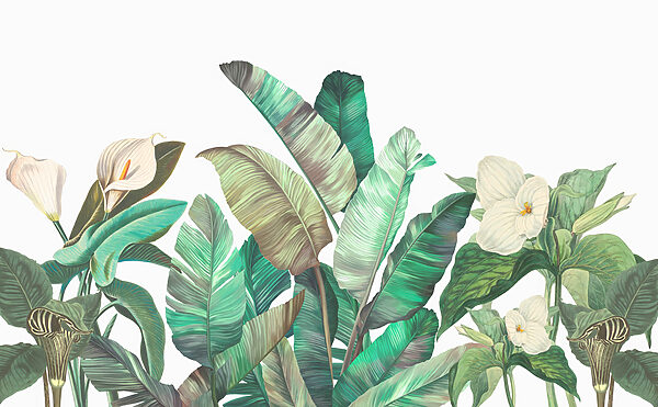 A group of tropical plants A group of tropical plants