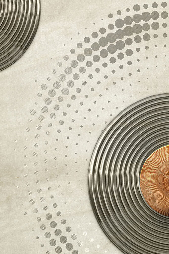 A circular silver circles with a brown circle A circular silver circles with a brown circle