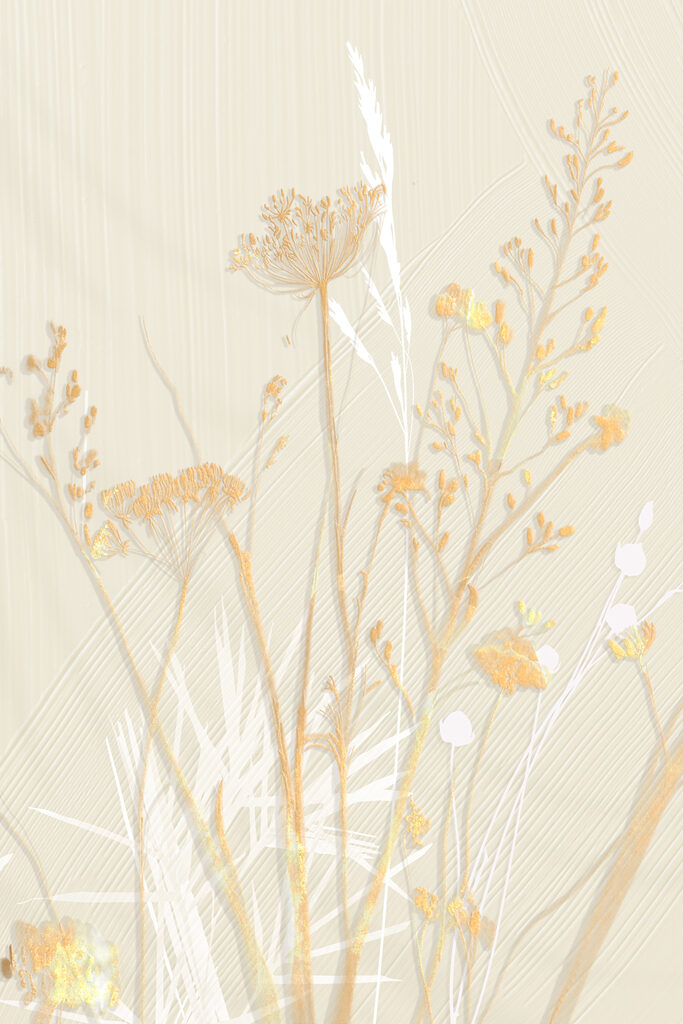 Delicate flowers in soft hues Delicate flowers in soft hues