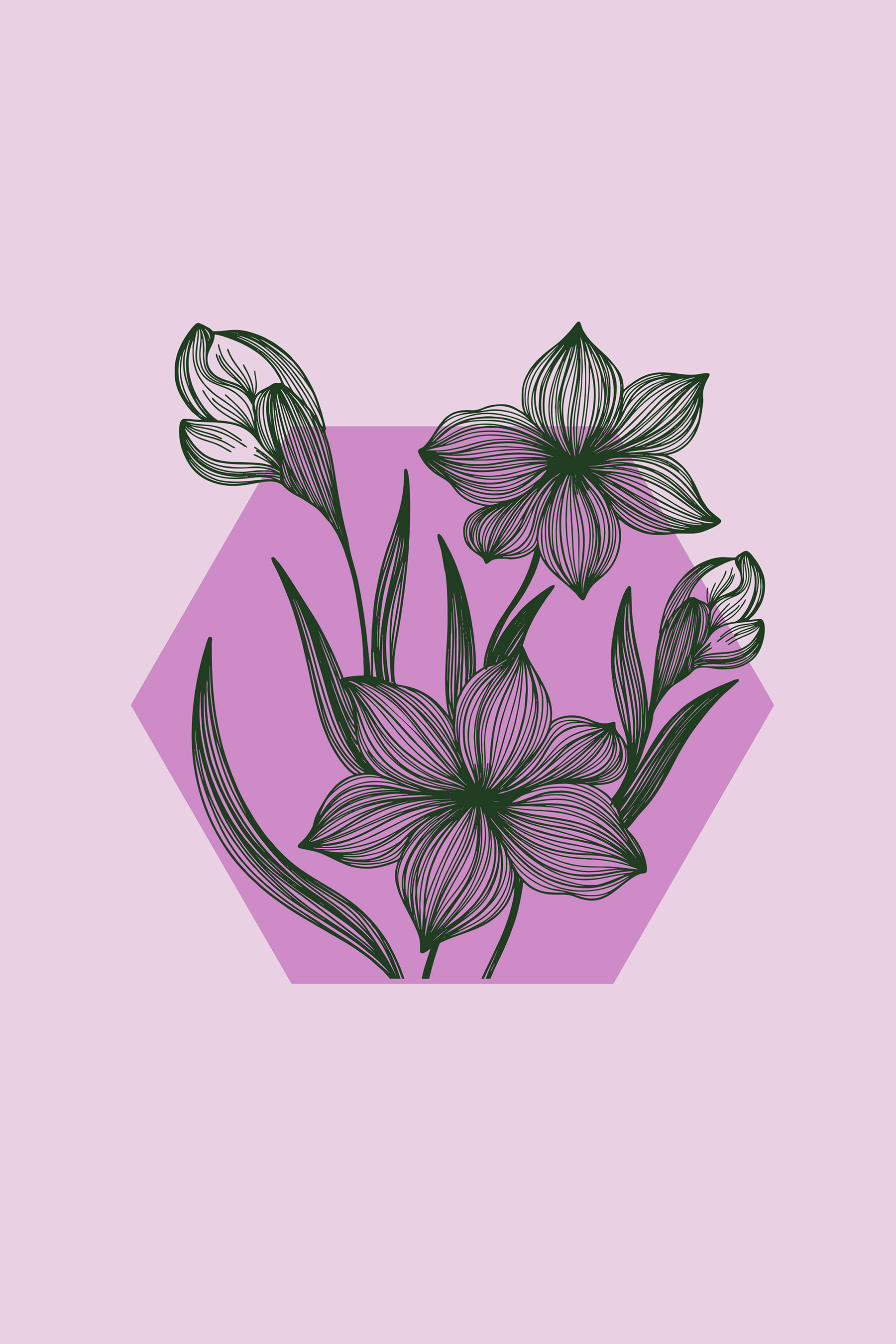 A drawing of flowers on a purple background A drawing of flowers on a purple background