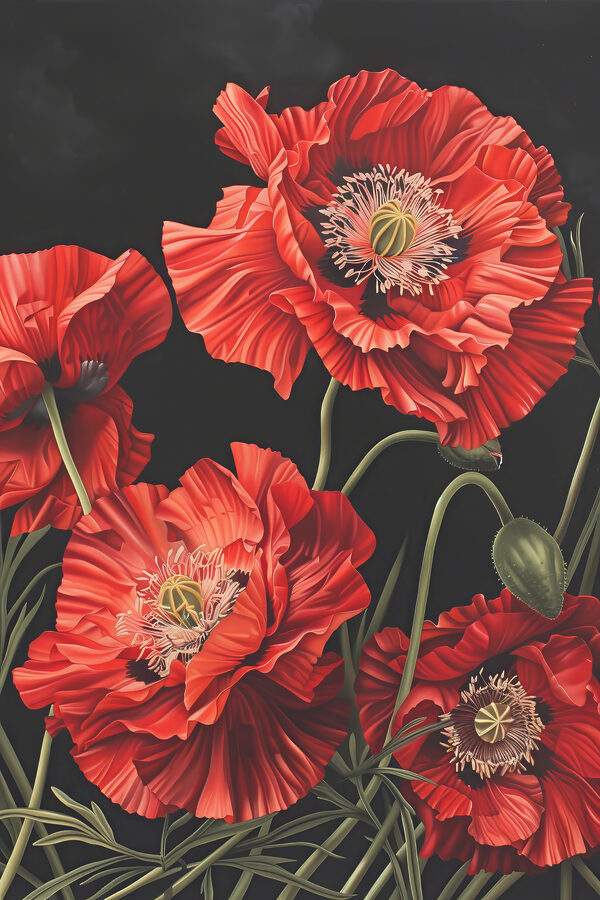 A close up of red flowers