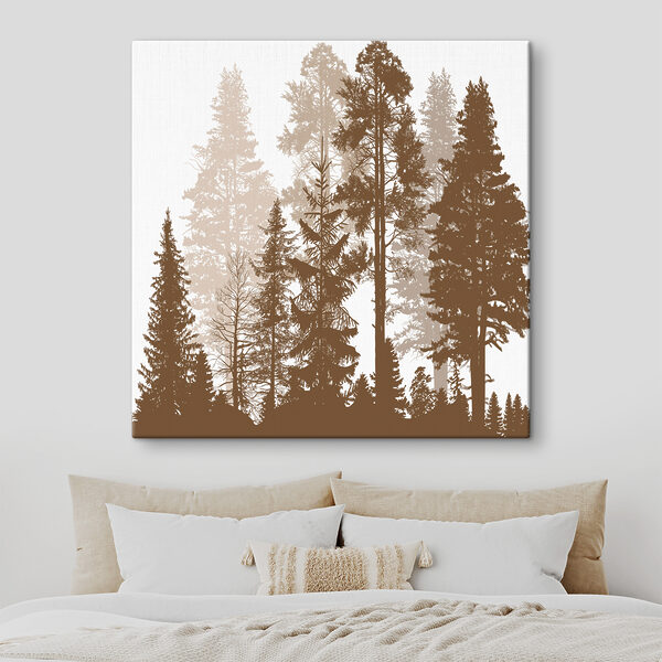 A group of trees in a forest A group of trees in a forest