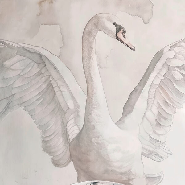 s38290p 600x600 - Un disegno di un cigno - tegory