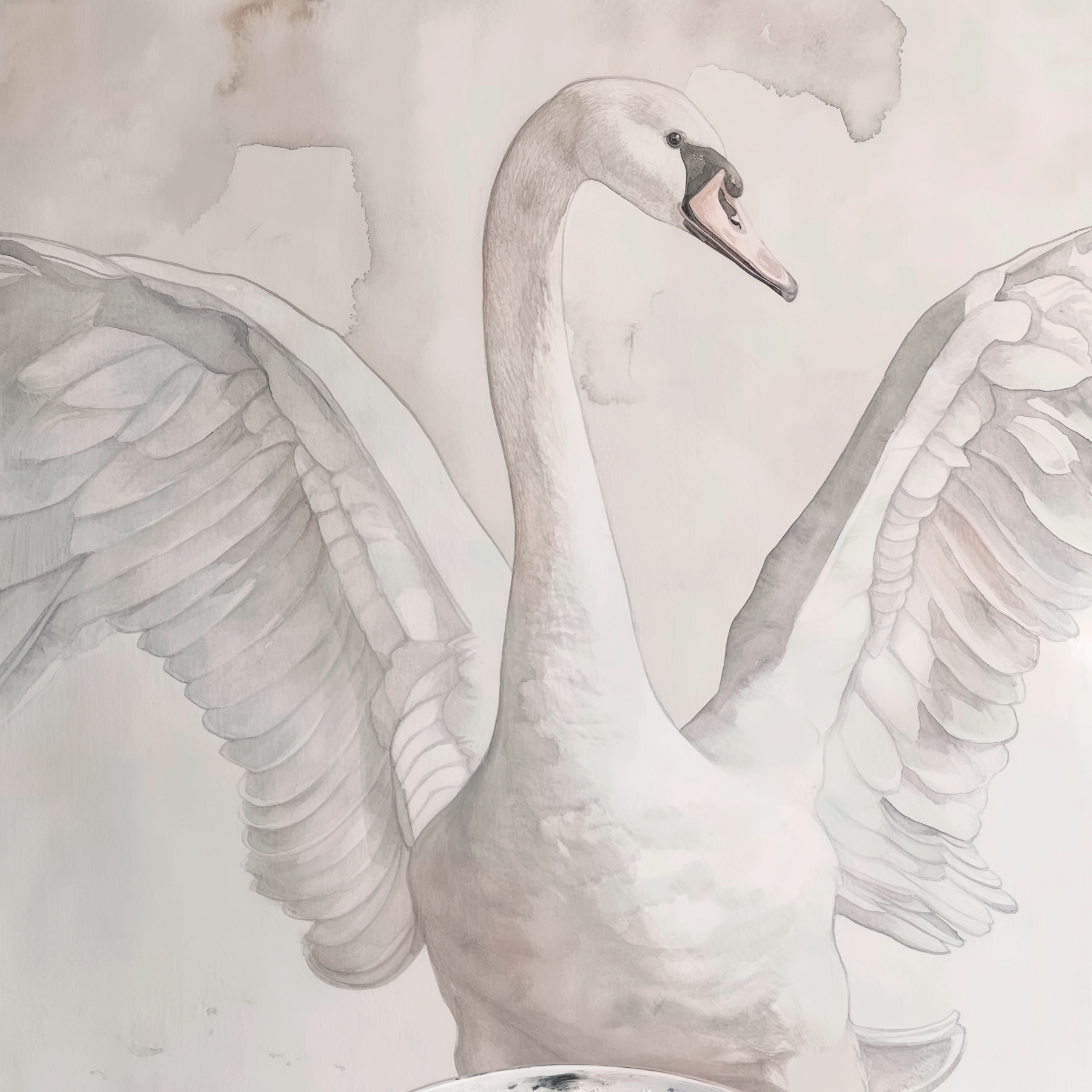 s38290p - Un disegno di un cigno - tegory