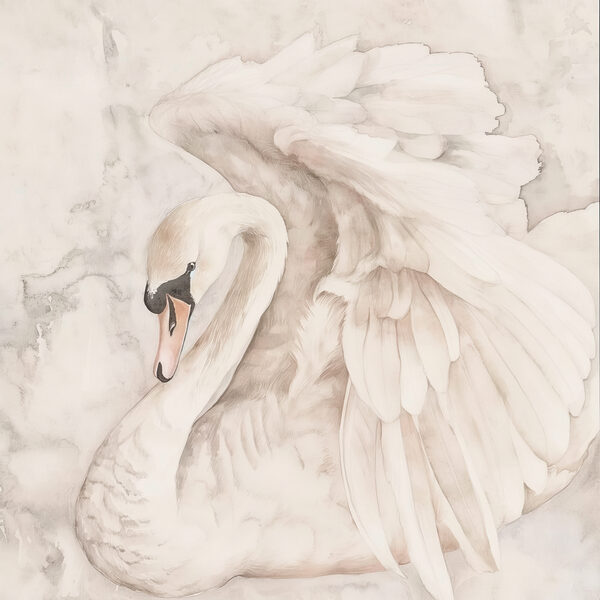 Un cigno bianco con le ali s38296p 600x600 - Un cigno bianco con le ali - tegory