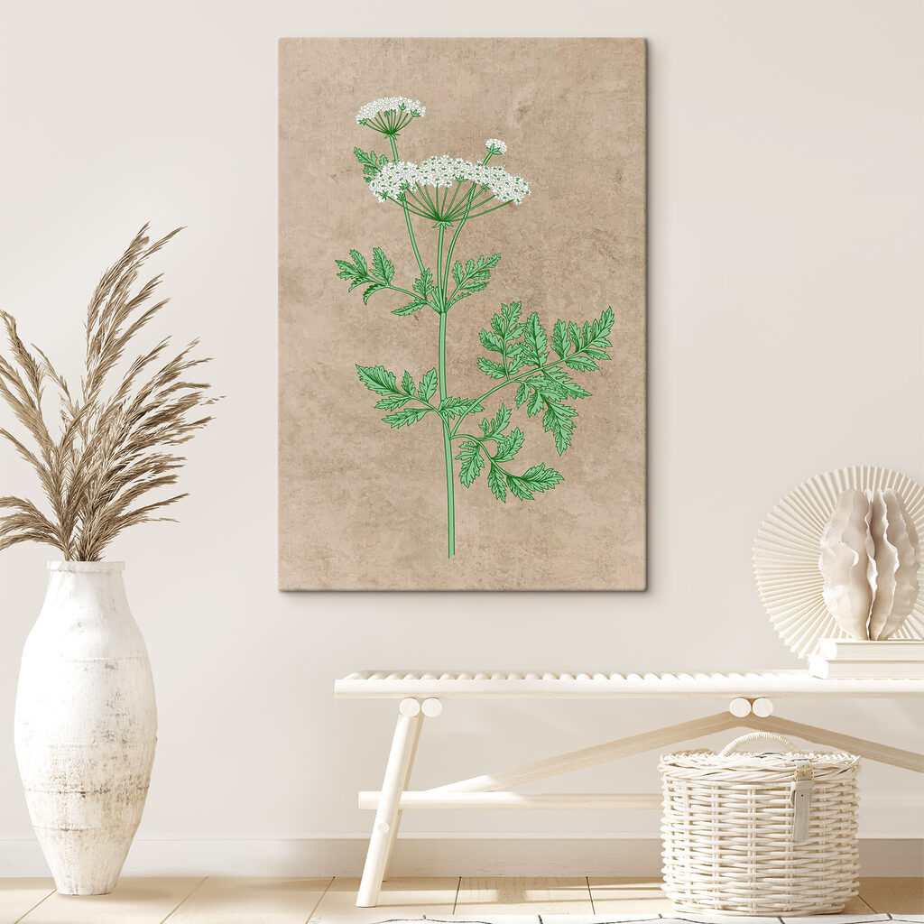s38230pih10m 1024x1024 - Il disegno di una pianta - tegory