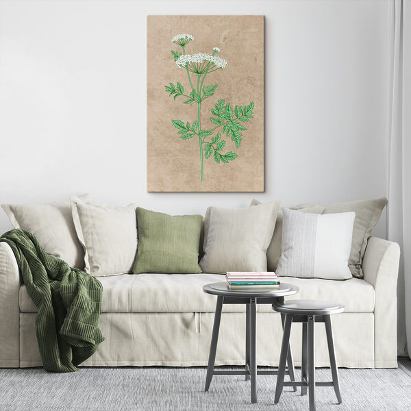 s38230pir12 600x600 - Il disegno di una pianta - tegory