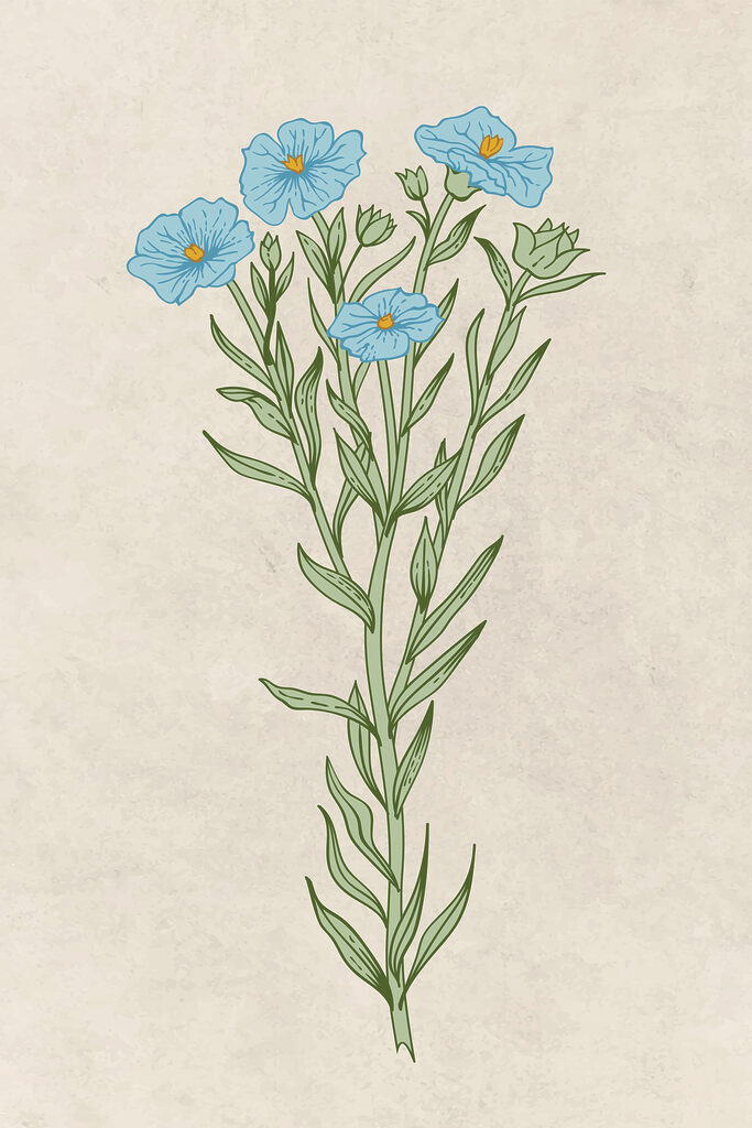 s38235p 683x1024 - Un disegno di una pianta con fiori blu - tegory