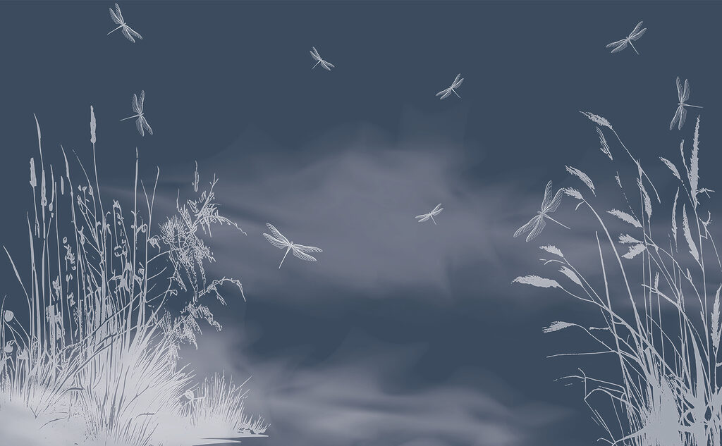 Libellule in volo nel cielo Libellule in volo nel cielo