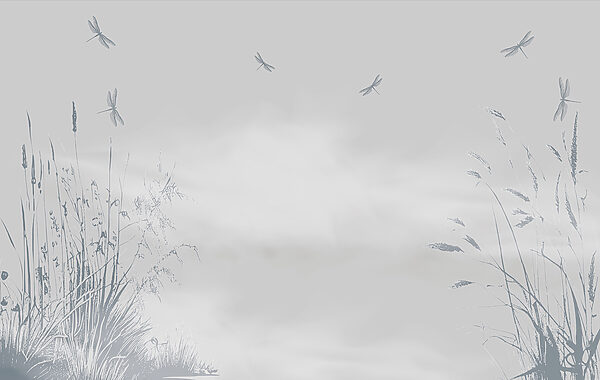 A dragonflies flying in the sky