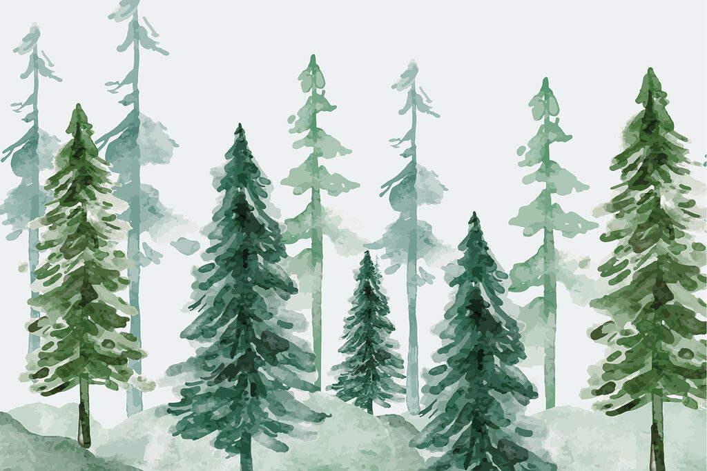 Un gruppo di alberi in una foresta innevata Un gruppo di alberi in una foresta innevata