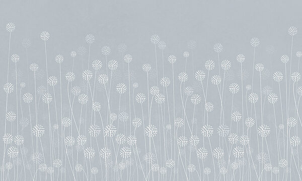 w00613v1p 600x360 - Fiori bianchi su sfondo grigio - tegory