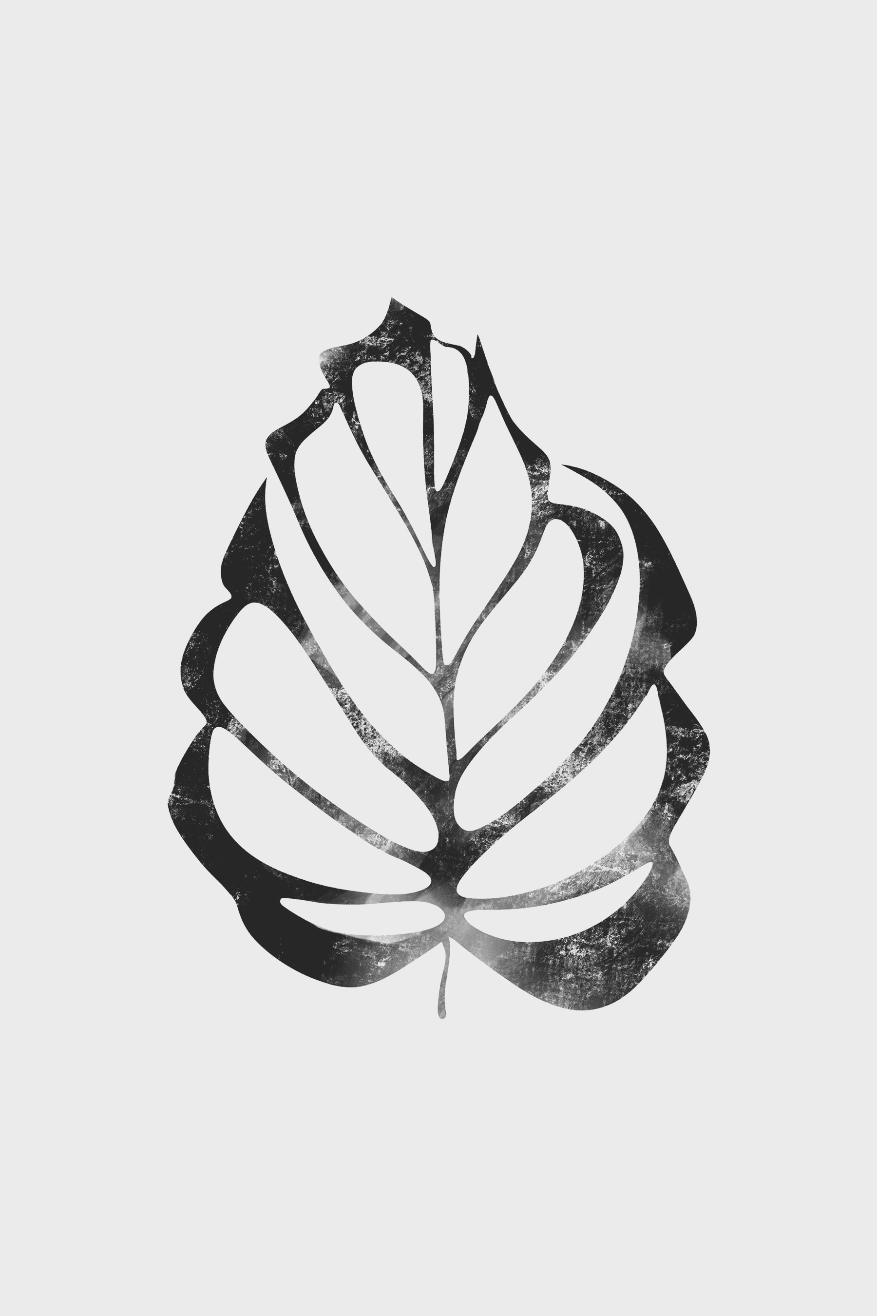 A black and white leaf