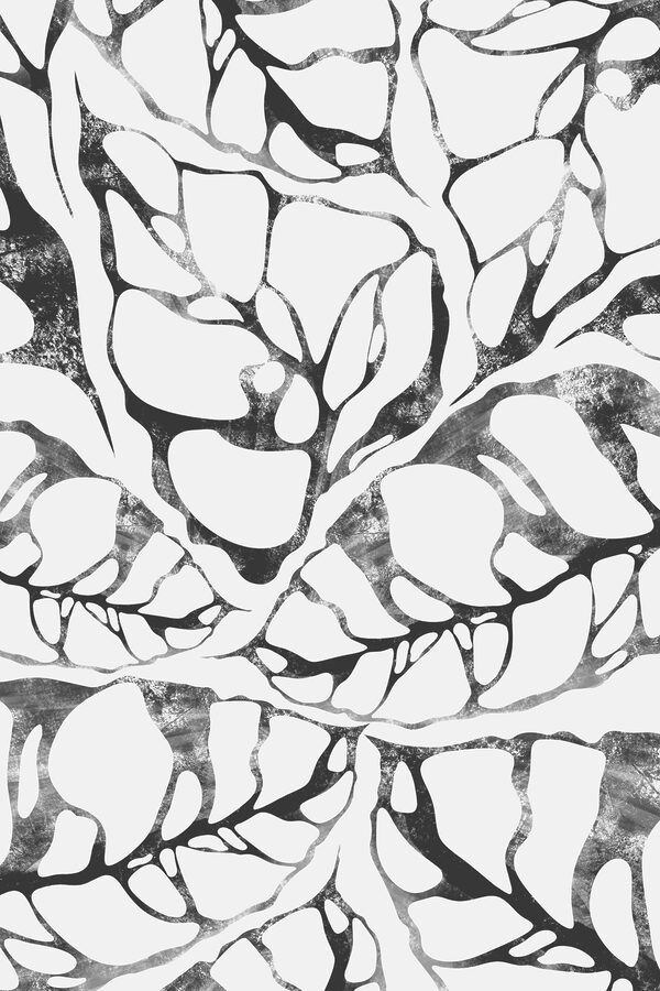 A black and white pattern A black and white pattern