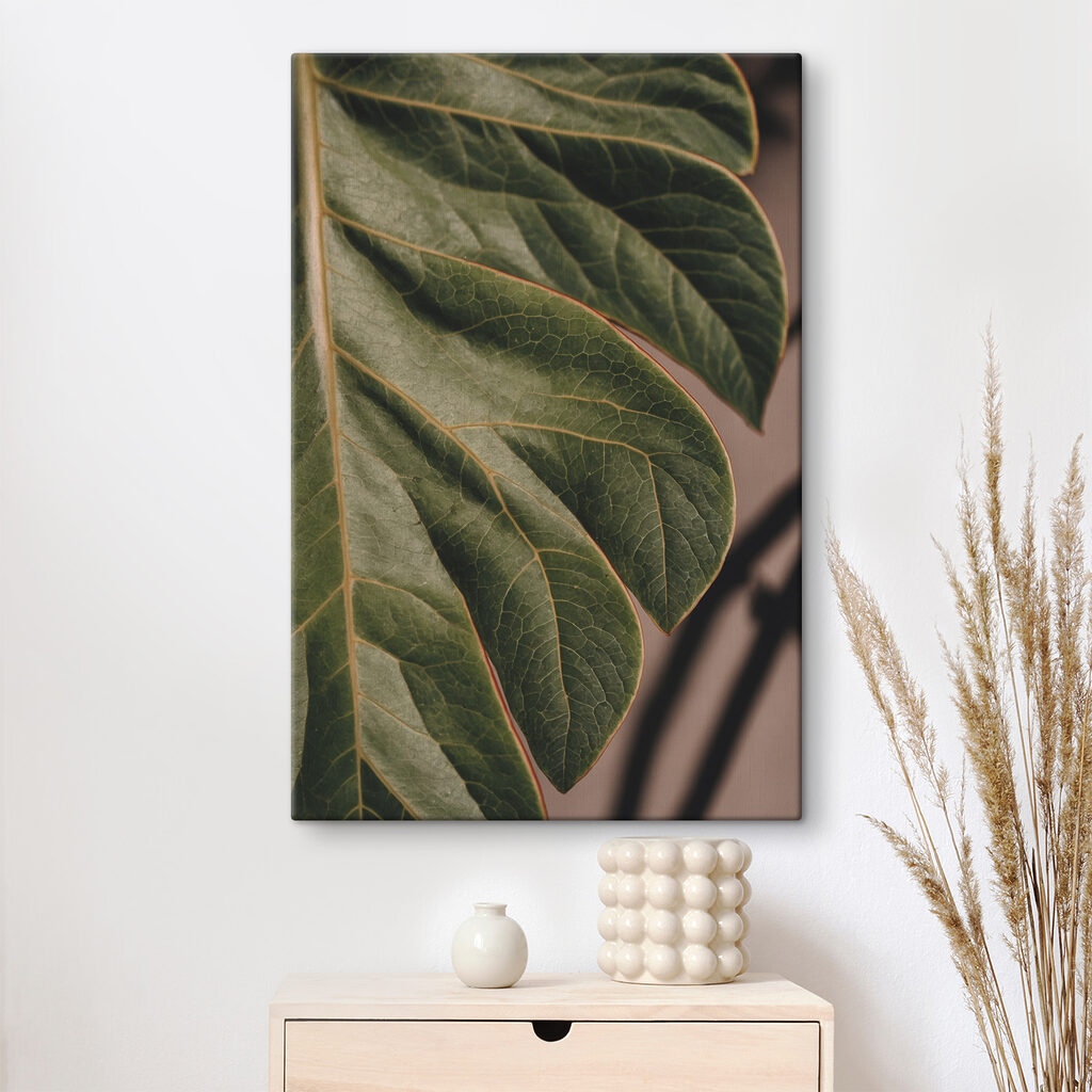 Close up of a leaf