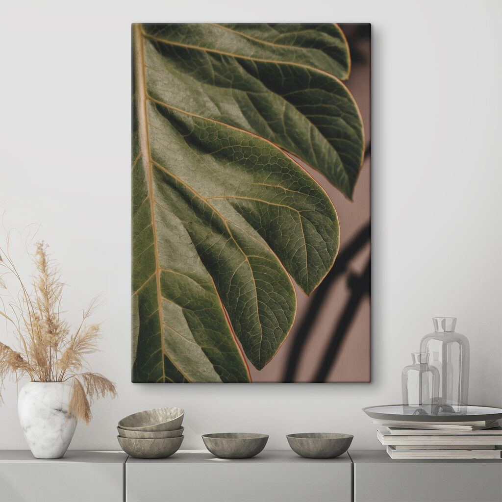 Close up of a leaf